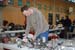 20070424_Essenheim_06